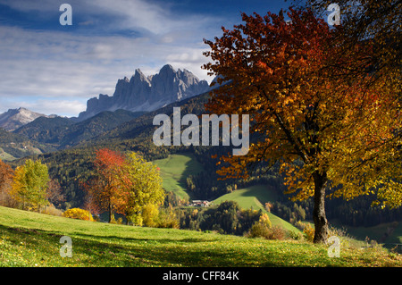 Blick auf St. Magdalena im Tal des Villnoesser im Herbst, Dolomiten, Südtirol, Alto Adige, Italien, Europa Stockfoto