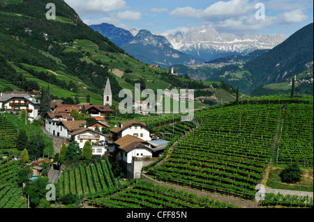 Weinberg und Häuser unter bewölktem Himmel Bozen Rentsch, Dolomiten, Südtirol, Alto Adige, Italien, Europa Stockfoto
