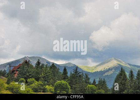 Italia Italien Italie Abruzzen Pescasseroli Monte Vitelle Montagne Boschi Berg Wald Forêt Bosques montaña Stockfoto