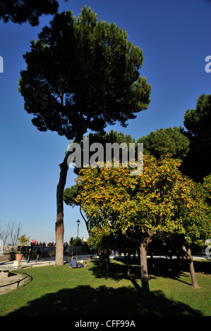 Italien, Rom, Aventine Hill (Aventino), Giardino degli Aranci, Gärten Stockfoto