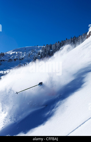 Ein sportliche Skifahrer reißt frischen Tiefschnee Umdrehungen im Hinterland an einem sonnigen Tag in Colorado. Stockfoto