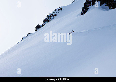 Ein Mann Motorschlitten gute Noten auf einem riesigen unverspurten Pulver Gesicht in Montana. Stockfoto