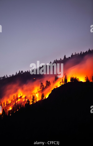 Ein Forrest Feuer brennt die Seite eines Berges in Montana. Stockfoto