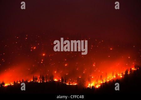 Ein Forrest Feuer brennt die Seite eines Berges in Montana. Stockfoto