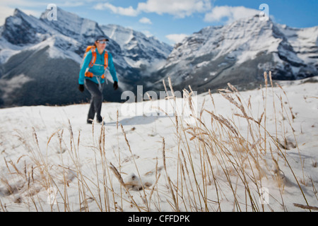 Eine Frau, Wandern im Schnee, Kananaskis Country, Alberta, Kanada. Stockfoto