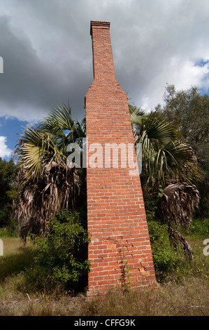 Einsamer zweistöckigen gemauerten Kamin Schornstein ist eines alten Landhauses im ländlichen North Florida übrig. Stockfoto