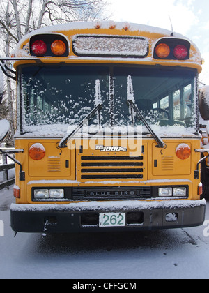 Flache Nase vorne nur gelben Schulbus Stockfoto