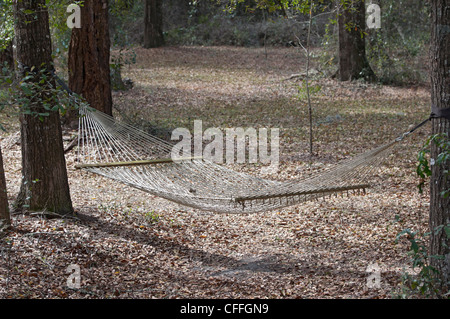 Hängematte zwischen Bäumen im Garten North Florida Stockfoto