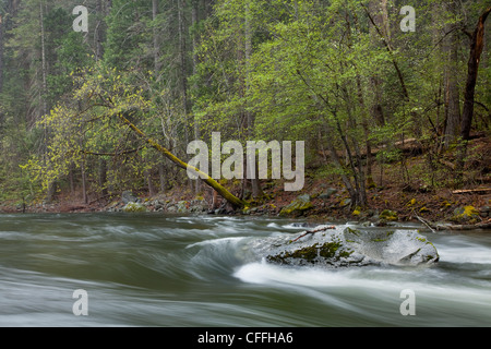 Malerische Bild des Merced River fließt durch den Yosemite Nationalpark, Kalifornien. Stockfoto