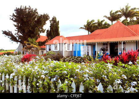 Eva-Wilkins-Kunst-Galerie in St. Kitts Stockfoto