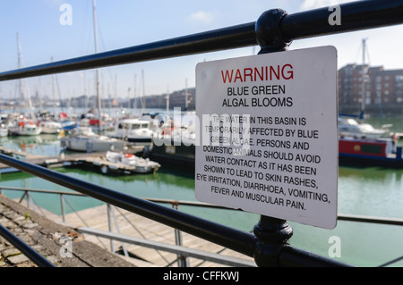 Melden Sie bei Preston Marina Warnung der Öffentlichkeit über die Gefahren der blau - grüne Algen Stockfoto