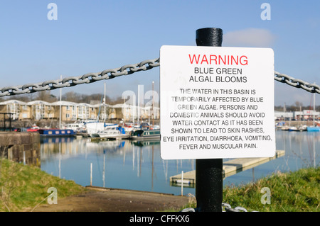 Melden Sie bei Preston Marina Warnung der Öffentlichkeit über die Gefahren der blau - grüne Algen Stockfoto