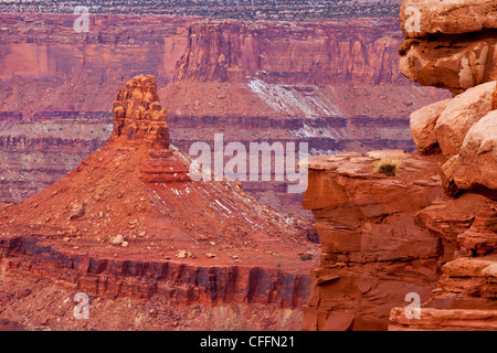 Felsformationen an Dead Horse Point State Park, Moab, Utah, USA Stockfoto