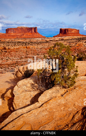 Monitor und Merrimack Buttes in der Nähe von Canyonlands Nationalpark, Moab, Utah, USA Stockfoto