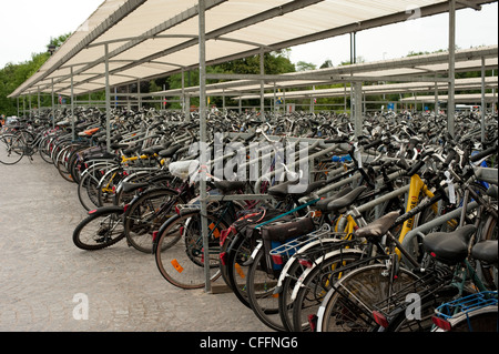 Tausende von Fahrrädern Brugge Brügge Belgien Stockfoto