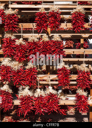 Santa Fe Chili Chili ristras Stockfoto