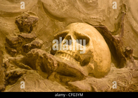 Ein Schädel-Basrelief im Franziskanerkloster des Heiligen Landes in Amerika Washington DC Stockfoto