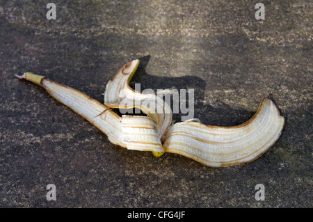 Verworfen, Banane Haut links auf Weg in Bristol, Vereinigtes Königreich Stockfoto