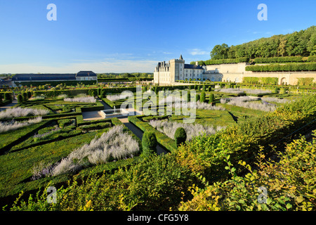 Frankreich, Gärten von Villandry Schloss im Vordergrund Musik Garten (Hecke Eiben und Buchsbaum, Salvia, Perowskia) Stockfoto