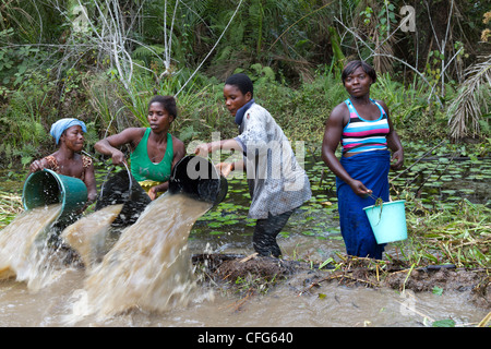 Traditionelles Fischen in der Nähe von Dukoue, Ivory Coast, Elfenbeinküste, Westafrika Stockfoto