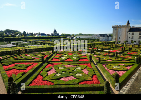 Frankreich, Gärten von Villandry Burg, im Vordergrund "Garden of Love" (Formschnitt und Begonien). Stockfoto