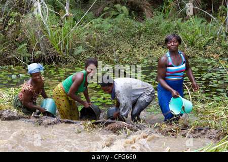 Traditionelles Fischen in der Nähe von Dukoue, Ivory Coast, Elfenbeinküste, Westafrika Stockfoto