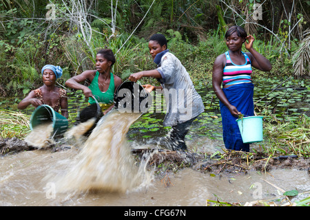 Traditionelles Fischen in der Nähe von Dukoue, Ivory Coast, Elfenbeinküste, Westafrika Stockfoto