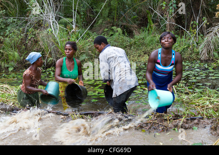 Traditionelles Fischen in der Nähe von Dukoue, Ivory Coast, Elfenbeinküste, Westafrika Stockfoto