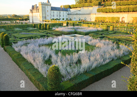 Frankreich, Gärten von Villandry Burg, im Vordergrund der "Musik-Garten" (Formschnitt Eiben und Buchsbaum, Salvia, Perowskia). Stockfoto