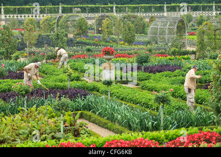Frankreich, Gärten von Schloss Villandry, die Gärtner im Küchengarten behandelt wie ein "Jardin à la Française". Stockfoto