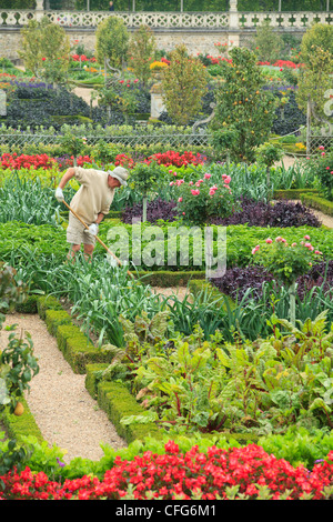 Frankreich, Gärten von Schloss Villandry, die Gärtner im Küchengarten behandelt wie ein "Jardin à la Française". Stockfoto