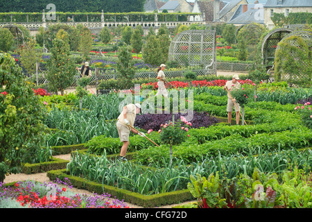 Frankreich, Gärten von Schloss Villandry, die Gärtner im Küchengarten behandelt wie ein "Jardin à la Française". Stockfoto