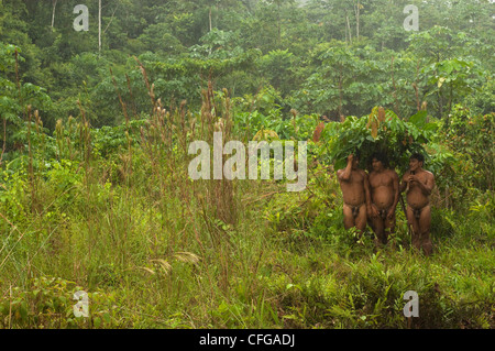 Huaorani Indianer mit Banane Blätter als Sonnenschirme zum Schutz vor dem Regen. Bameno Gemeinschaft, Yasuni, Amazonas, Ecuador Stockfoto