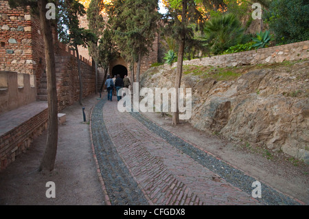 Alcazaba Festung Malaga Andalusien Spanien Europa Stockfoto