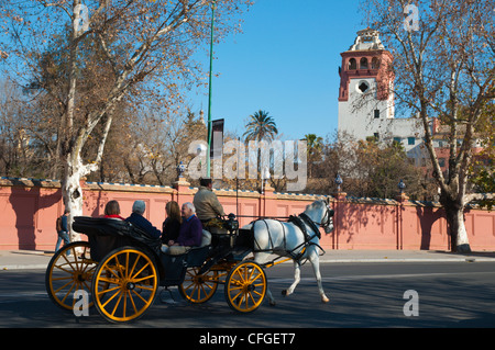 Pferdekutsche Kutsche entlang Paseo de Las Delicias Straße Zentrale Sevilla Andalusien Spanien Stockfoto