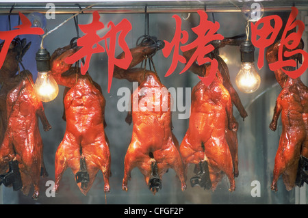 China, Shanghai, gebratene Ente in Restaurant Fenster hängen Stockfoto