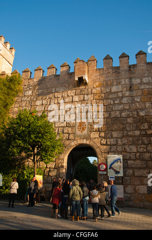 Menschen vor Real Alcázar-Festung am Plaza del Triumfo Quadrat Zentrale Sevilla Andalusien Spanien Stockfoto