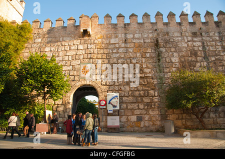 Menschen vor Real Alcázar-Festung am Plaza del Triumfo Quadrat Zentrale Sevilla Andalusien Spanien Stockfoto