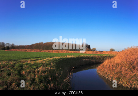 Eine typische Norfolk-Landschaft in einem tiefliegenden Feuchtgebiet in der Nähe von Halvergate, Norfolk, England, Vereinigtes Königreich. Stockfoto