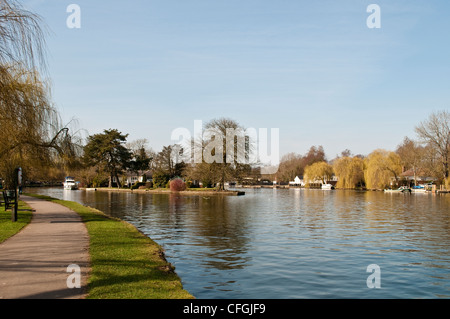 Themse bei Henley-on-Thames, Oxfordshire, England, UK Stockfoto