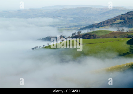 Neblige Täler unter den Mynydd Epynt Hügeln in mid Wales, Powys UK. Stockfoto