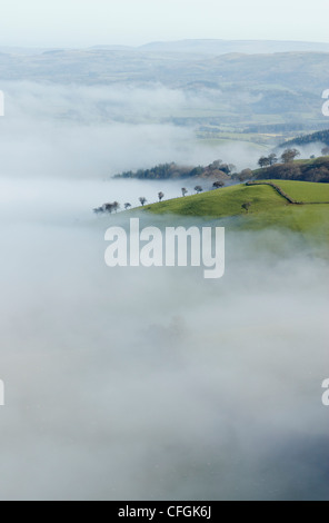 Neblige Täler unter den Mynydd Epynt Hügeln in mid Wales, Powys UK. Stockfoto