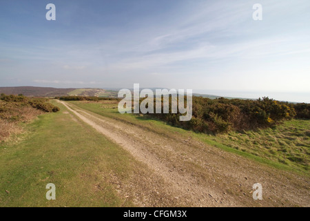 Teil der Tennyson Trail, Mottistone Down, Isle Of Wight Stockfoto