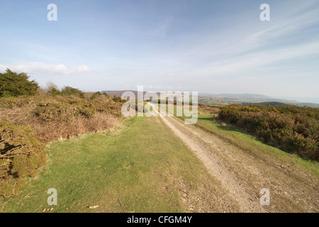 Teil der Tennyson Trail, Mottistone Down, Isle Of Wight Stockfoto