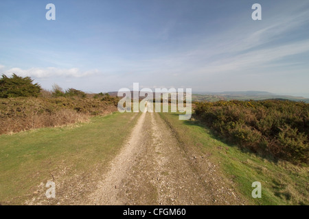 Teil der Tennyson Trail, Mottistone Down, Isle Of Wight Stockfoto