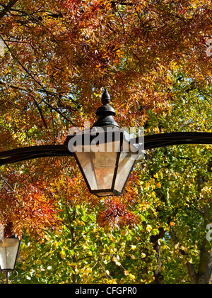 Leicester New Walk ein Fußgängerweg in Leicester Stadtzentrum angelegt im Jahre 1785 mit traditionellen Straßenlaternen Stockfoto