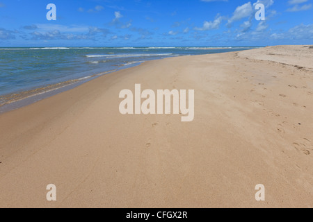 Barra de Gramame, Paraiba, Brasilien Stockfoto