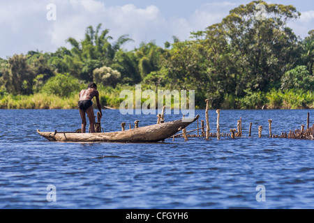 Garnelen-Fisher, Pangalanes Kanal, Madagaskar Stockfoto