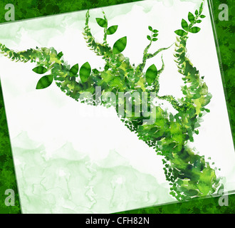 Der grüne Baum mit grünen Blättern auf die weiße Leinwand gewölbten Stockfoto
