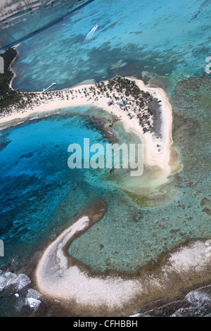 Half Moon Caye Naturdenkmal, Lighthouse Reef, Belize Barrier Reef, Belize, Karibik, Mittelamerika Stockfoto